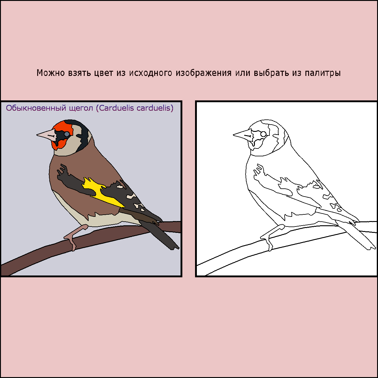 Раскраска картинок онлайн, Coloring pictures online