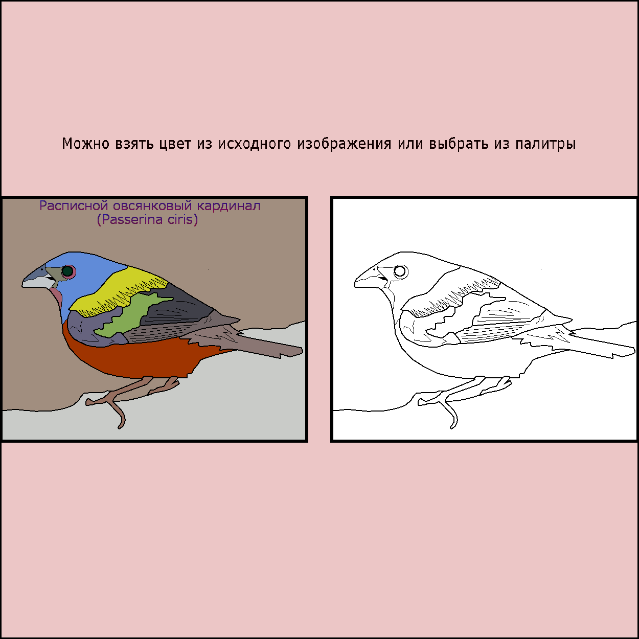 Раскраска картинок онлайн, Coloring pictures online