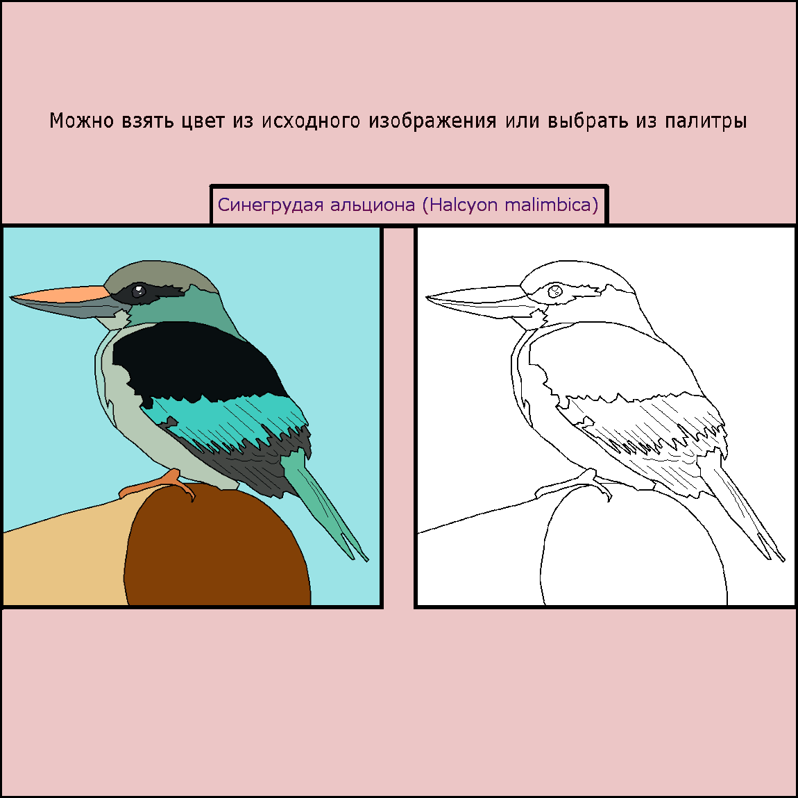 Раскраска картинок онлайн, Coloring pictures online